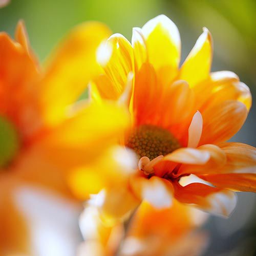 farmacia talavera de la reina farmacia talavera de la reina