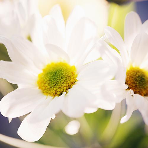 farmacias en talavera de la reina farmacias en talavera de la reina